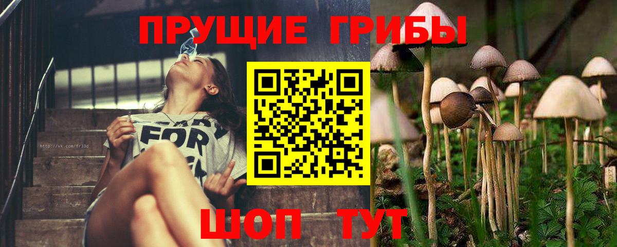Галлюциногенные грибы MAGIC MUSHROOMS Волжск