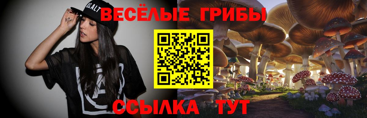 Галлюциногенные грибы Psilocybine cubensis  Галлюциногенные грибы Magic Shrooms  Волжск  наркошоп  Вход с VPN 