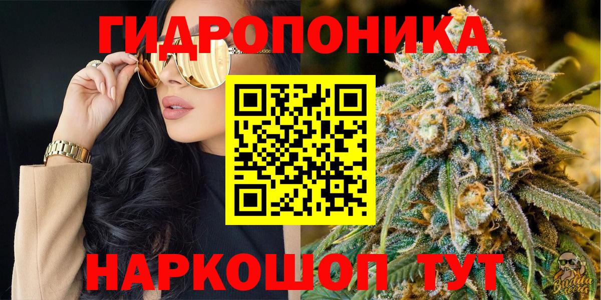 Бошки Шишки планчик  Вход с VPN  Бошки марихуана планчик  Волжск  Бошки Шишки марихуана  Бошки Шишки OG Kush 